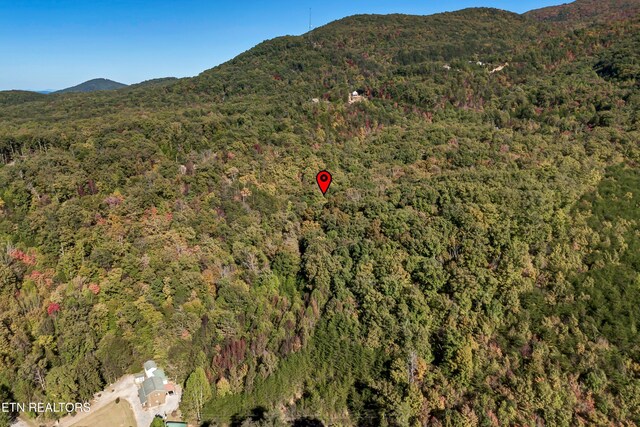 Hartford Rd, Newport, TN 37821 - photo 6