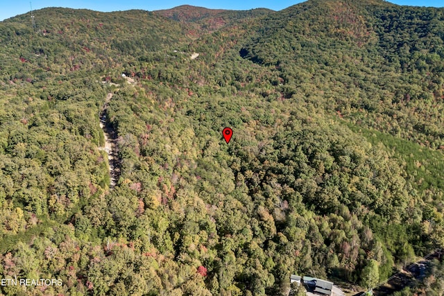 Hartford Rd, Newport, TN 37821 - photo 8