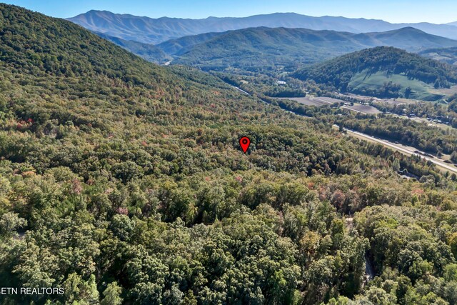 Hartford Rd, Newport, TN 37821 - photo 12