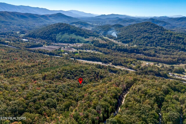 Hartford Rd, Newport, TN 37821 - photo 3