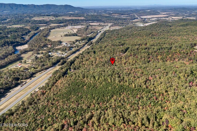 Hartford Rd, Newport, TN 37821 - photo 15