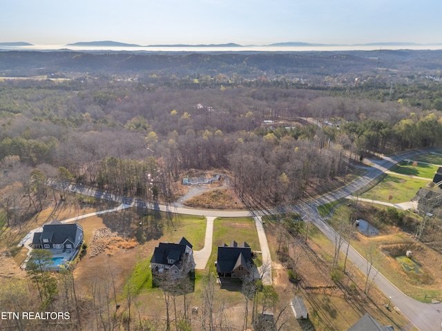 birds eye view of property with a mountain view