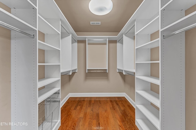 3909 Logans Landing Cir, Louisville, TN 37777 - walk in closet with visible vents and wood finished floors