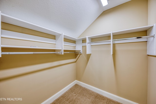 walk in closet with vaulted ceiling and carpet floors