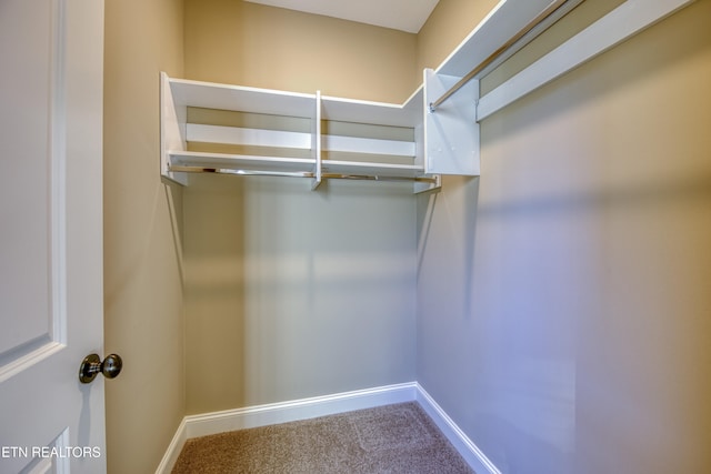 walk in closet featuring carpet