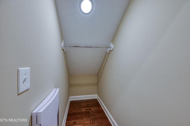 walk in closet with radiator and dark hardwood / wood-style flooring