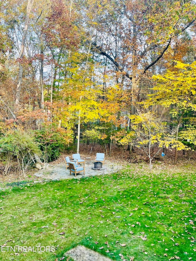 view of yard with a patio