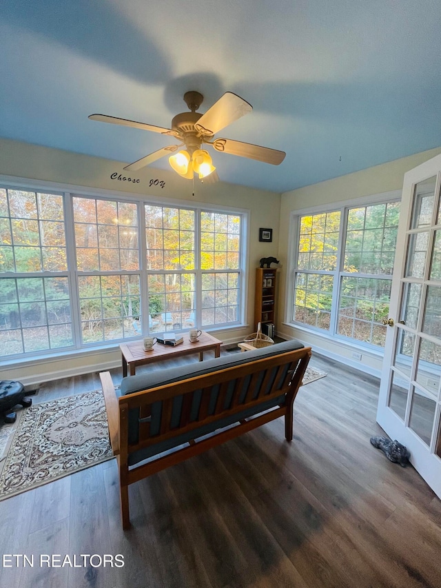 interior space with multiple windows and hardwood / wood-style floors