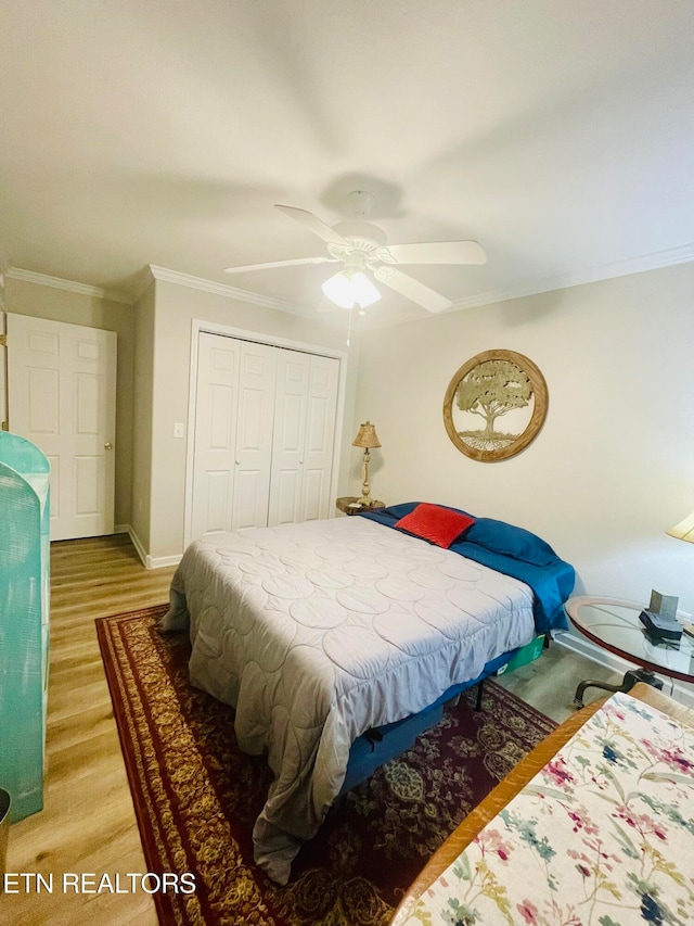 bedroom featuring ceiling fan, a closet, crown molding, and hardwood / wood-style floors