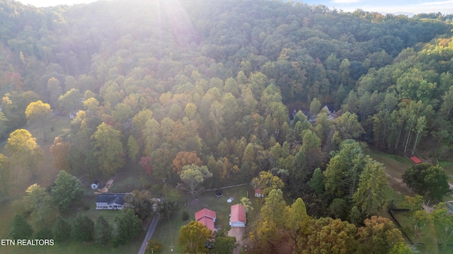1830 Rhea Rd, Knoxville, TN 37920 - photo 2