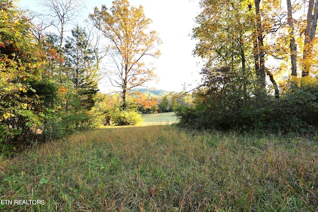 Haws Rd, Knoxville TN, 37920 land for sale