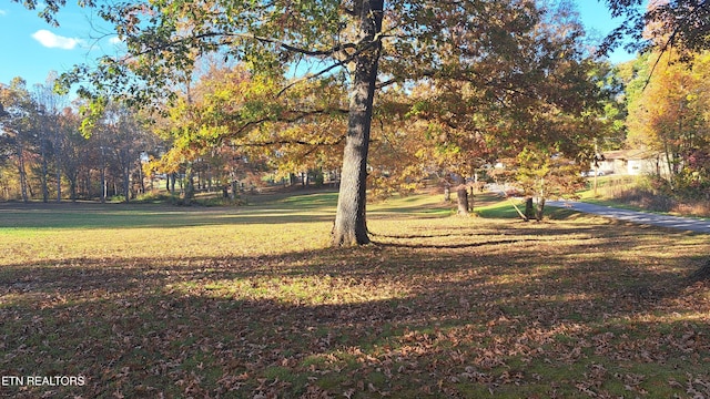 view of property's community featuring a lawn