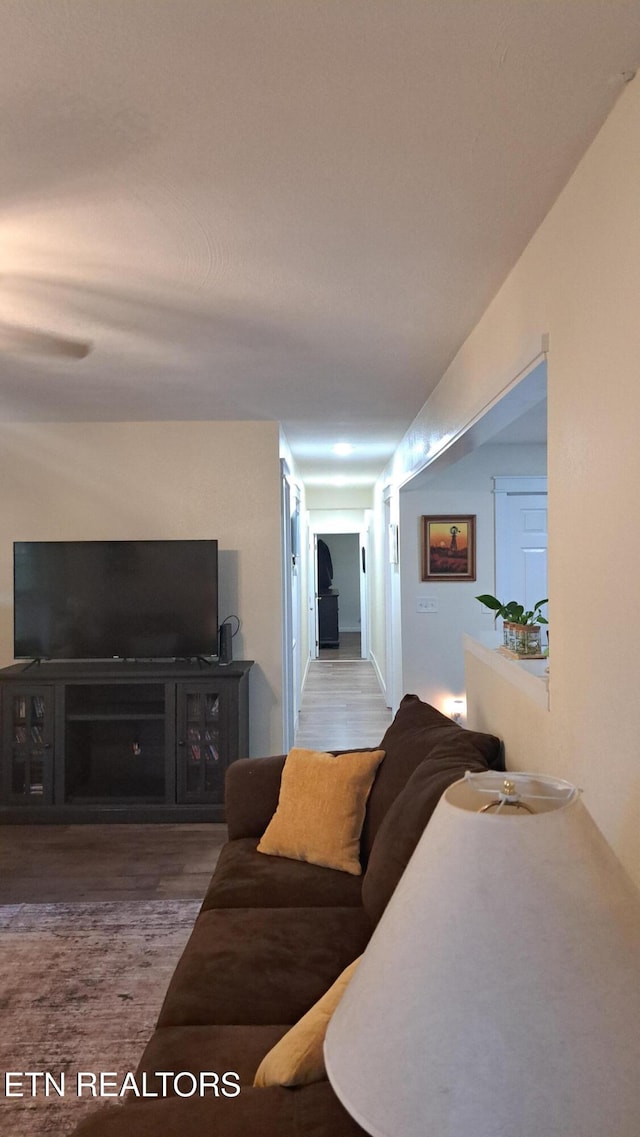 living room featuring hardwood / wood-style flooring