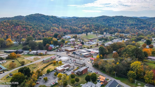 390 Cherohala Skwy, Tellico Plains, TN 37385