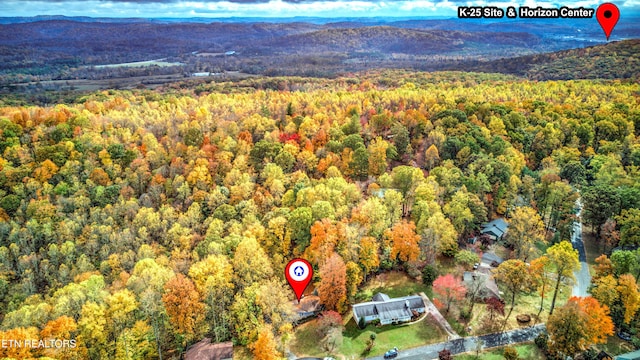 bird's eye view featuring a mountain view