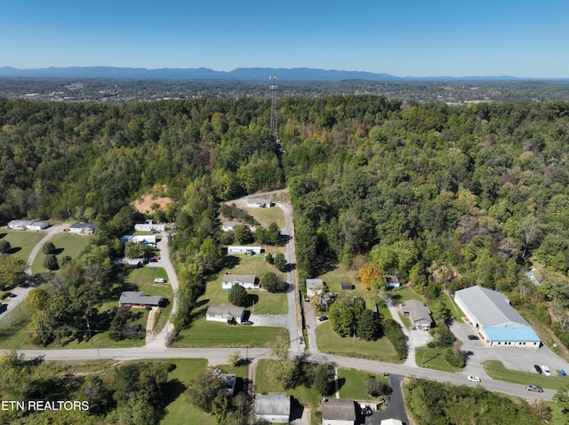 bird's eye view with a mountain view