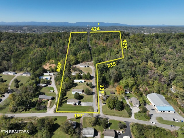 birds eye view of property with a mountain view