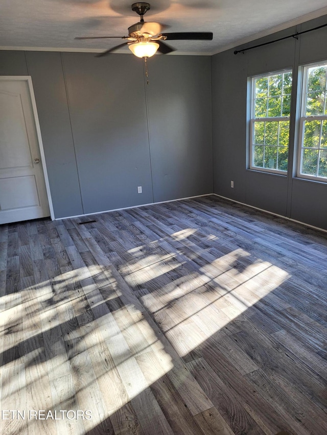 unfurnished room featuring ceiling fan and wood-type flooring