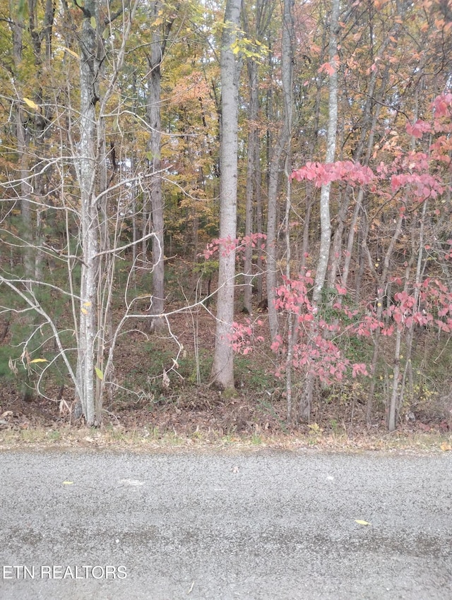 Listing photo 2 for Rocky Top Rd, Oneida TN 37841