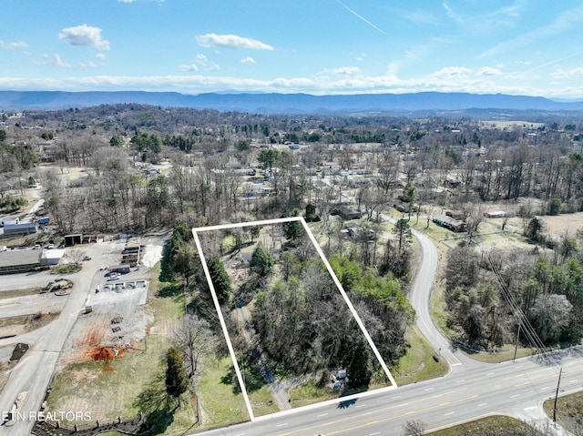 drone / aerial view with a mountain view