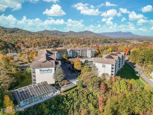 drone / aerial view featuring a mountain view