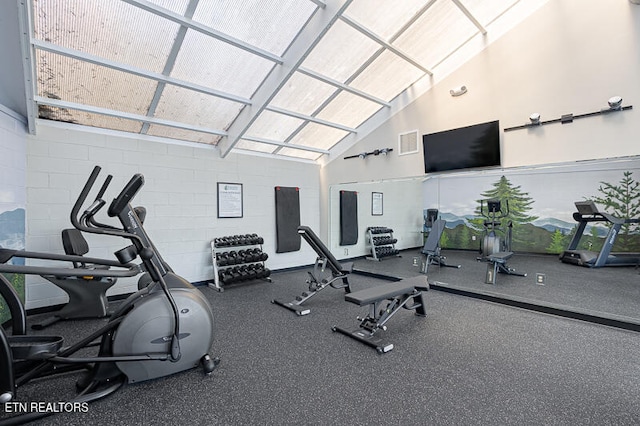 exercise room featuring high vaulted ceiling