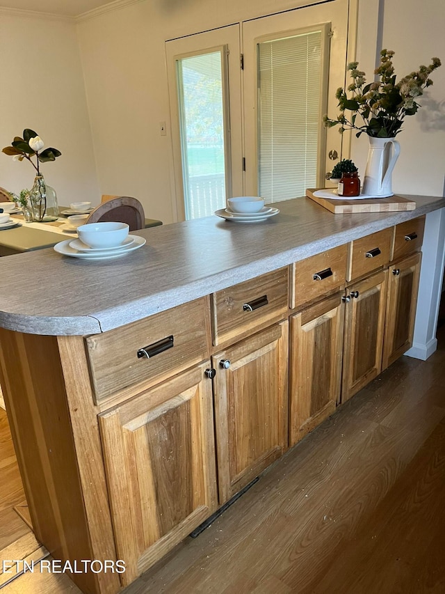 kitchen featuring dark hardwood / wood-style flooring