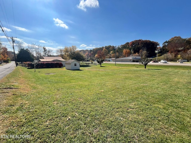 view of yard with a shed