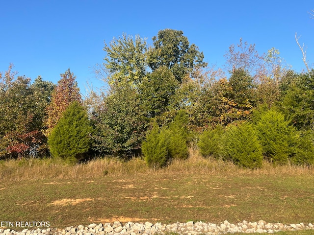 Star Ln, Rockwood TN, 37854 land for sale