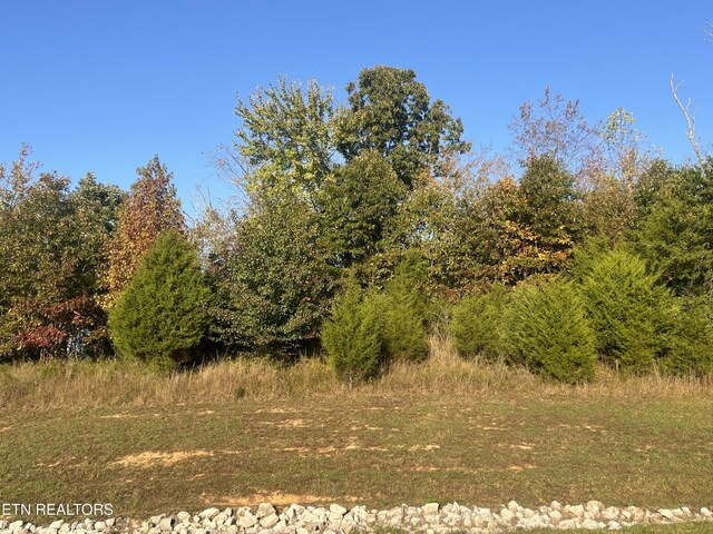 LOT232 Star Ln, Rockwood, TN 37854 - photo 5