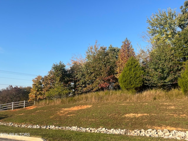 Listing photo 2 for Star Ln, Rockwood TN 37854