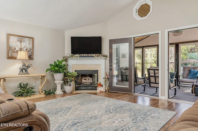 living room with lofted ceiling and wood-type flooring