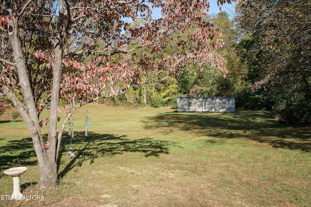 view of yard with a storage unit