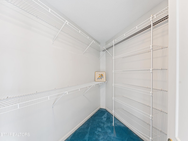 spacious closet featuring carpet floors