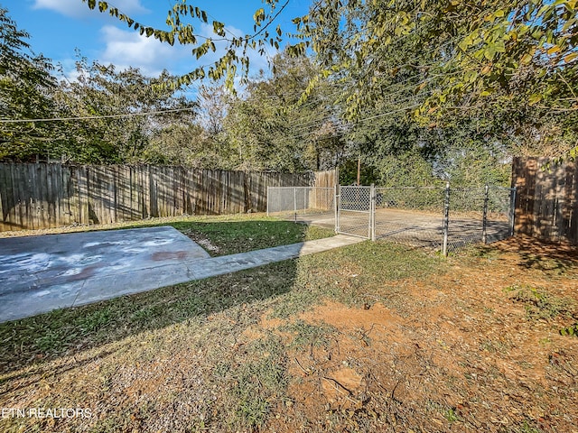 view of yard featuring a patio area