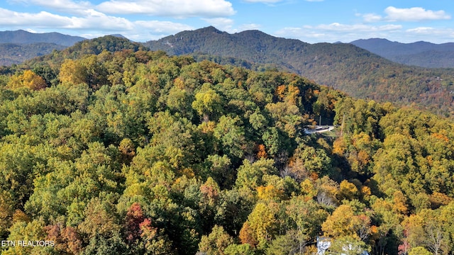 view of mountain feature