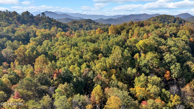 view of mountain feature