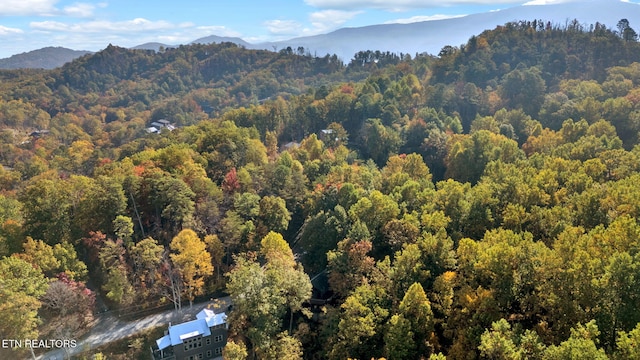 view of mountain feature