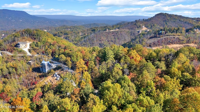 drone / aerial view featuring a mountain view