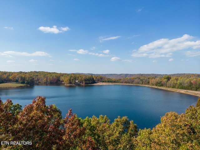 property view of water