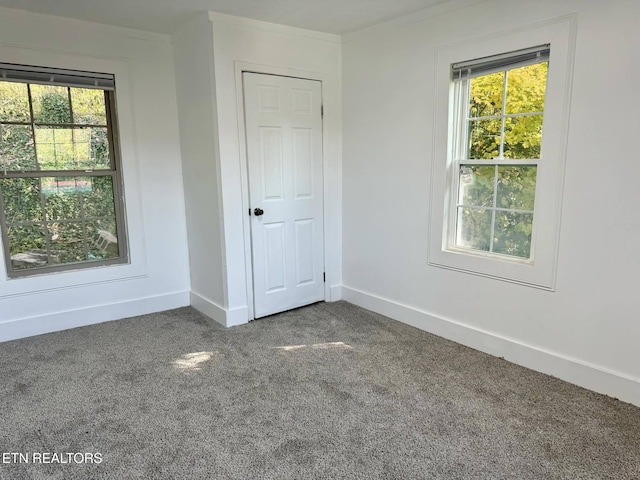 empty room featuring plenty of natural light, dark carpet, and crown molding