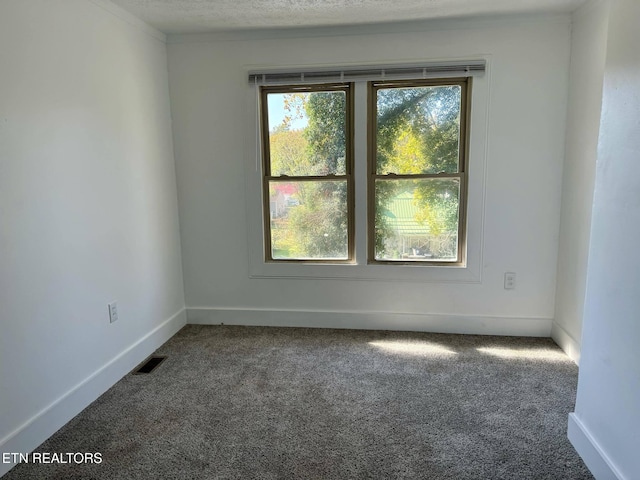 carpeted empty room featuring a textured ceiling