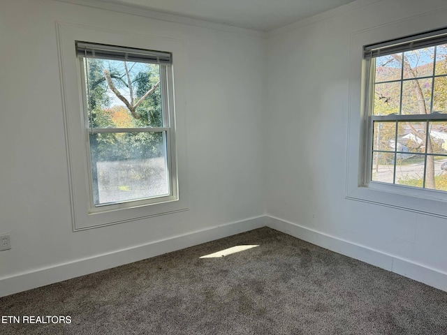 carpeted empty room with crown molding