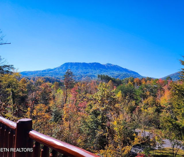 property view of mountains