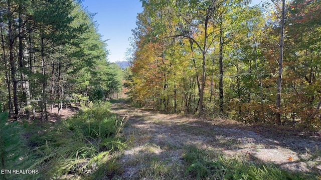 Padgett Mill Rd Off, Unit Off, Cosby, TN 37722