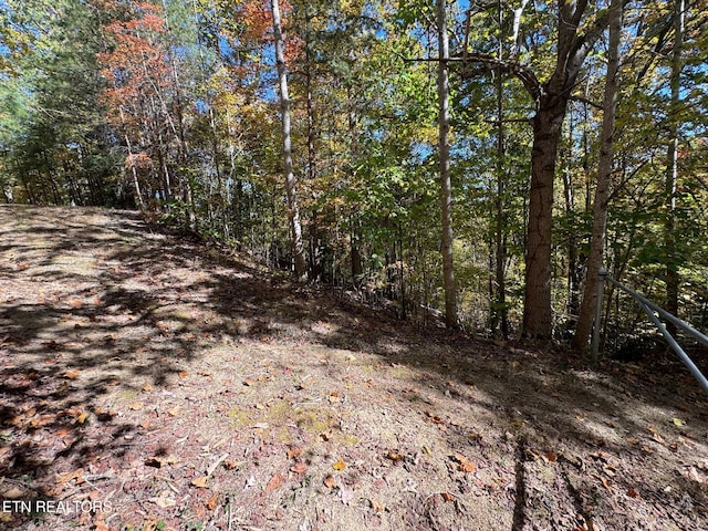 Padgett Mill Rd Off, Unit Off, Cosby, TN 37722