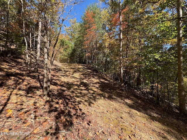 Padgett Mill Rd Off, Unit Off, Cosby, TN 37722