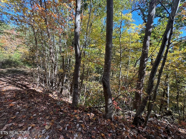Padgett Mill Rd Off, Unit Off, Cosby, TN 37722