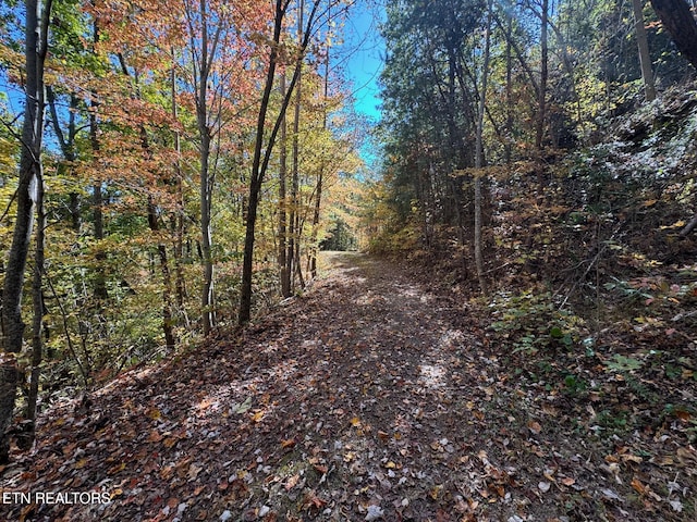 Padgett Mill Rd Off, Unit Off, Cosby, TN 37722