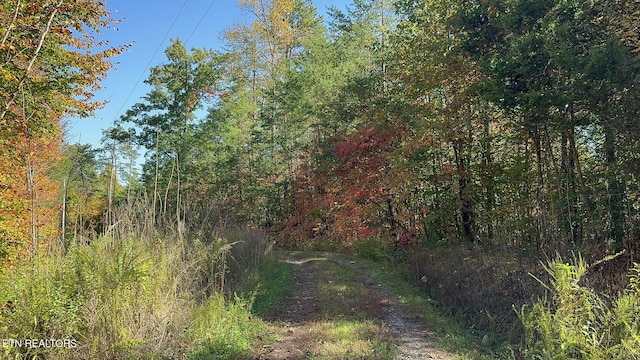 Padgett Mill Rd Off, Unit Off, Cosby, TN 37722